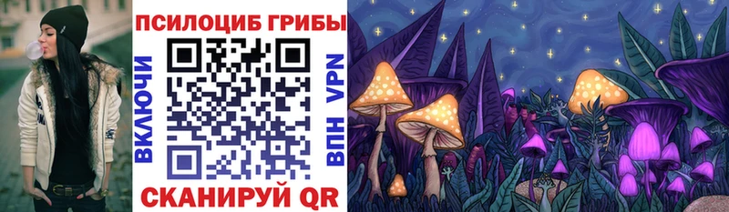 Псилоцибиновые грибы Magic Shrooms  гидра зеркало  Вичуга 